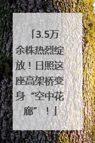 3.5万余株热烈绽放！日照这座高架桥变身“空中花廊”！