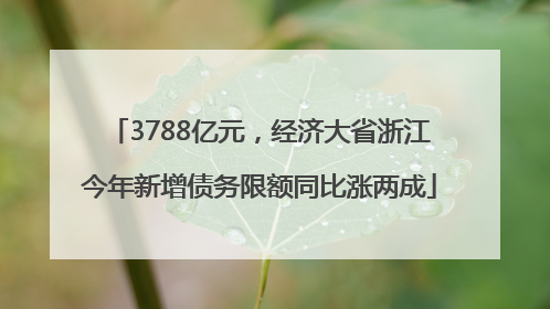 3788亿元，经济大省浙江今年新增债务限额同比涨两成