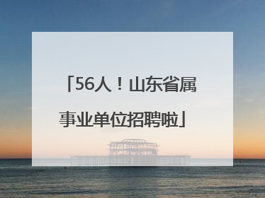 56人！山东省属事业单位招聘啦