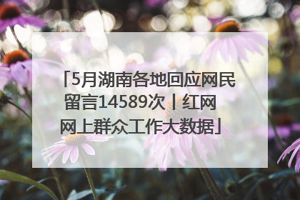 5月湖南各地回应网民留言14589次丨红网网上群众工作大数据