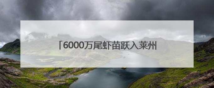 6000万尾虾苗跃入莱州湾 潍坊滨海区启动2025年水生生物增殖放流工作