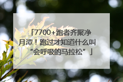 7700+跑者齐聚净月潭！跑过才知道什么叫“会呼吸的马拉松”