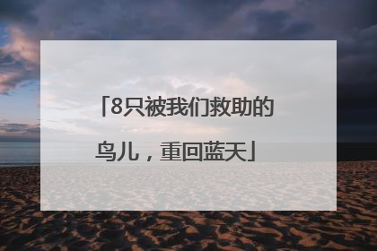 8只被我们救助的鸟儿，重回蓝天