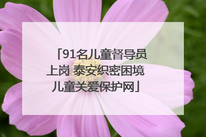 91名儿童督导员上岗 泰安织密困境儿童关爱保护网