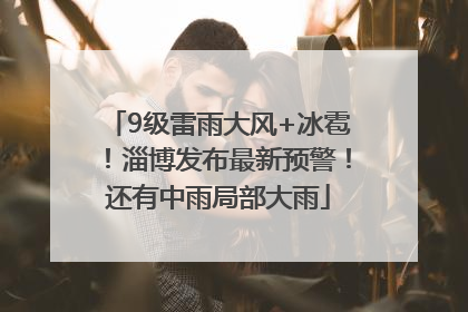 9级雷雨大风+冰雹！淄博发布最新预警！还有中雨局部大雨