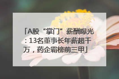 A股“掌门”薪酬曝光：13名董事长年薪超千万，药企霸榜前三甲