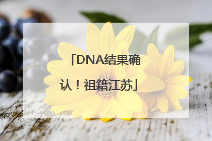 DNA结果确认！祖籍江苏
